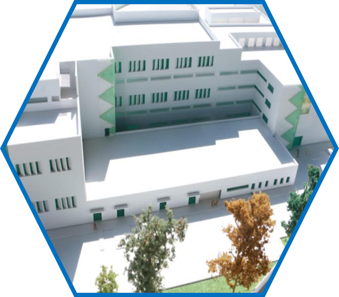 SUSTITUCIÓN DEL HOSPITAL GENERAL REGIONAL N° 36